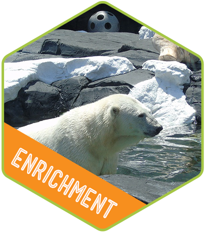 enrichment