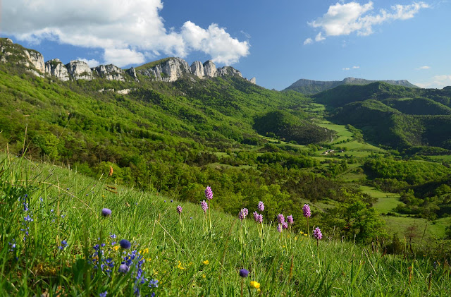 saint genis