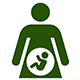 femme-enceinte-bébé- foetus-icône